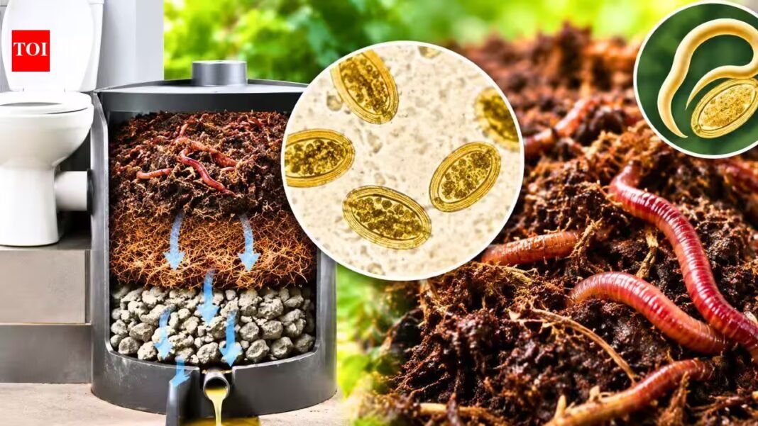 Scientists are using worms that eat human waste to turn toilet waste into compost, but parasitic eggs can survive the process | Scientists are using worms that eat human waste to turn toilet waste into compost, but parasitic eggs can survive the process |
