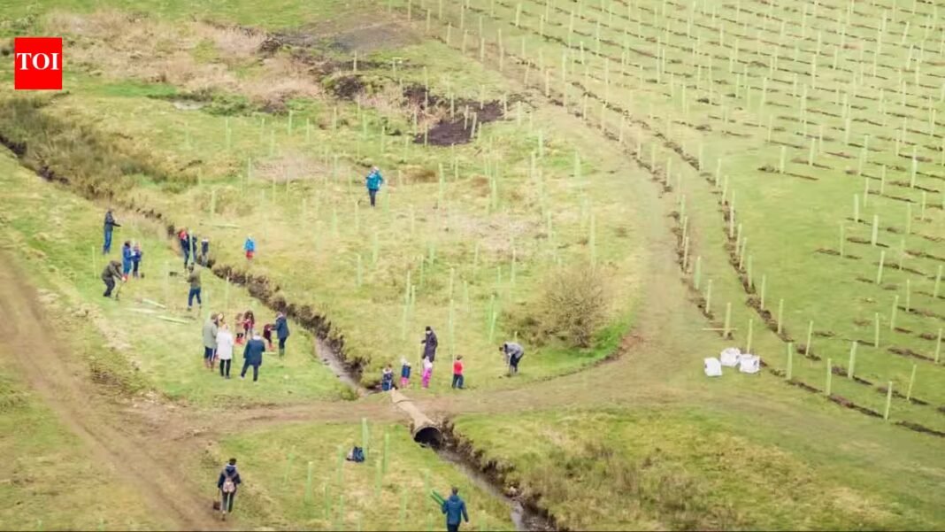 In 2021, a North Yorkshire estate began restoring 2,500 acres of intensively farmed land; four years later, 330,000 trees and 1,700+ species mark its comeback In 2021, a North Yorkshire estate began restoring 2,500 acres of intensively farmed land; four years later, 330,000 trees and 1,700+ species mark its comeback