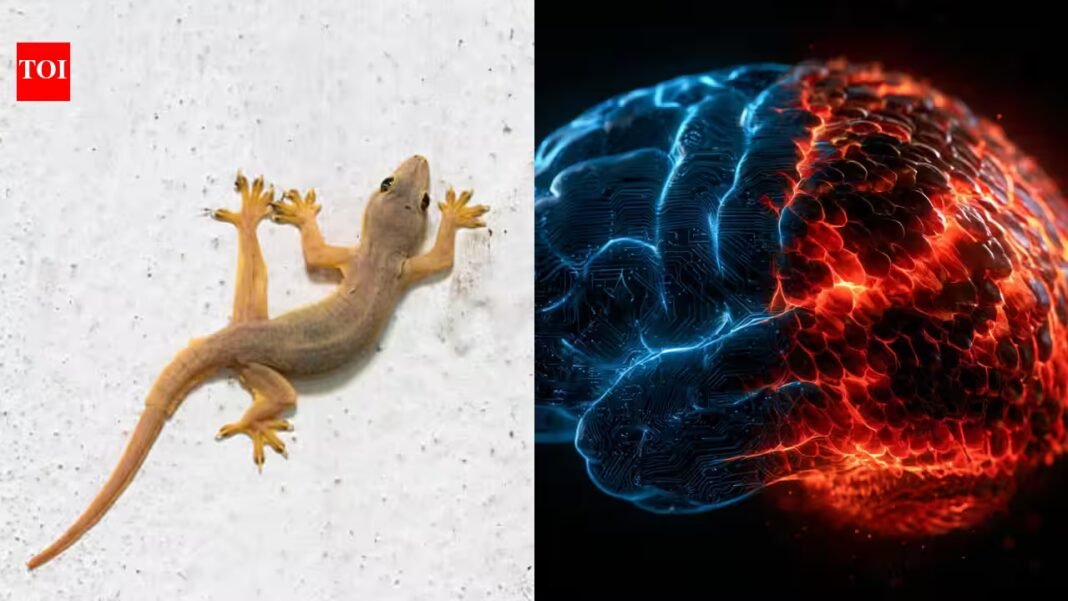 What if your ‘lizard brain’ never existed? Scientists challenge a 70-year-old theory and uncover the wiring battle that may have shaped human intelligence What if your ‘lizard brain’ never existed? Scientists challenge a 70-year-old theory and uncover the wiring battle that may have shaped human intelligence