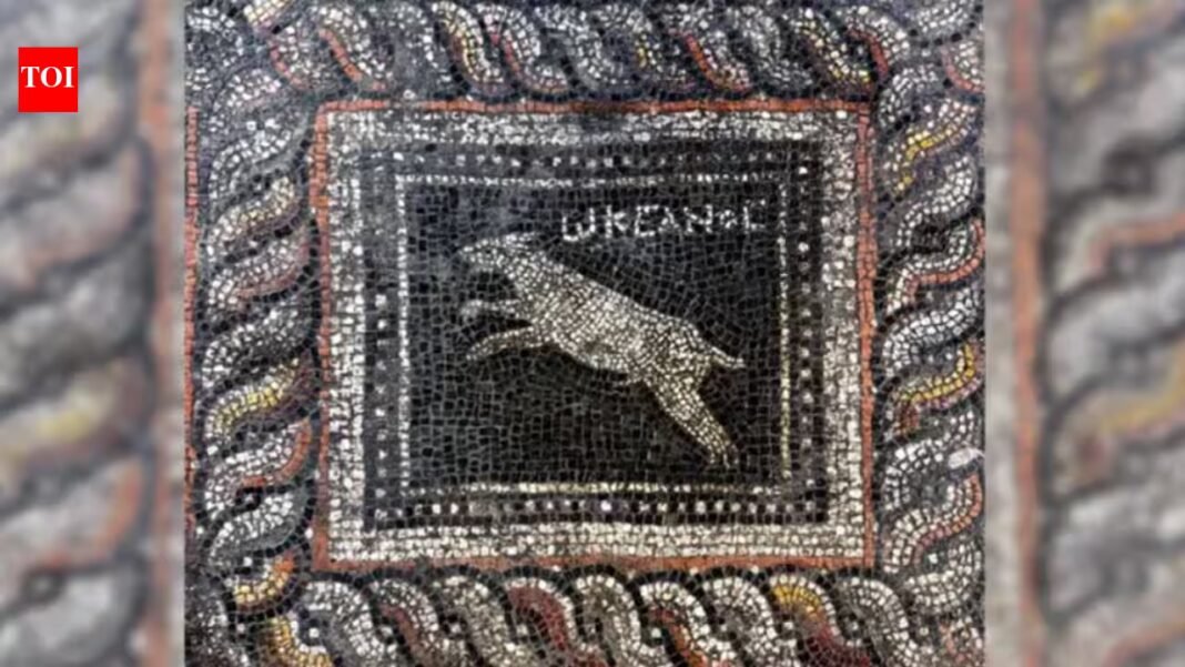 Around 1,800 years ago, a Roman household decorated its floor with a cat named ‘Emerald’ and a dog named ‘Ocean’; archaeologists have now uncovered the mosaic Around 1,800 years ago, a Roman household decorated its floor with a cat named ‘Emerald’ and a dog named ‘Ocean’; archaeologists have now uncovered the mosaic
