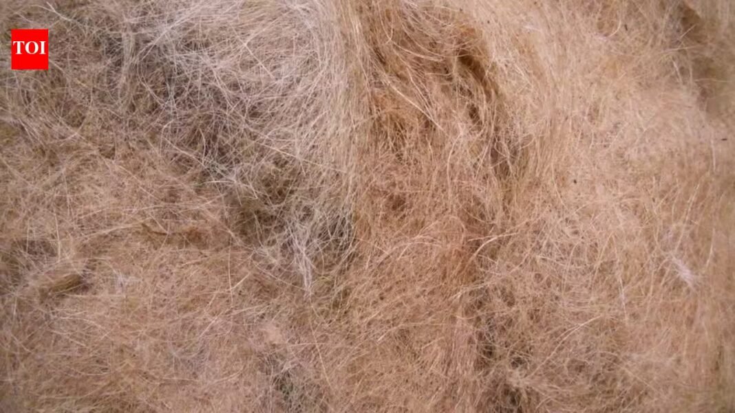 Scientists turned coconut waste into a water-cleaning material. It removed 95.5% of textile dye in 80 minutes | Scientists turned coconut waste into a water-cleaning material. It removed 95.5% of textile dye in 80 minutes |