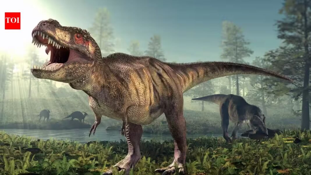 66.5 million years ago, a T. rex crossed North America; fossil footprints now show the giant dinosaur walked, not ran 66.5 million years ago, a T. rex crossed North America; fossil footprints now show the giant dinosaur walked, not ran