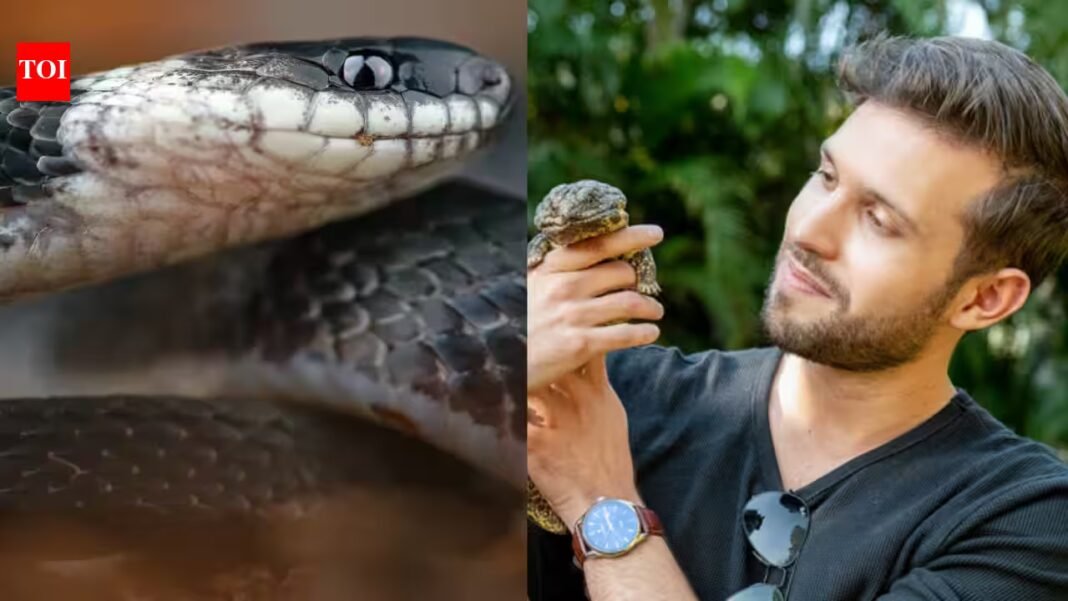 Meet Alejandro Arteaga: The Ecuadorian biologist who went into cloud forests looking for reptiles for a book and ended up finding a snake new to science | Meet Alejandro Arteaga: The Ecuadorian biologist who went into cloud forests looking for reptiles for a book and ended up finding a snake new to science |