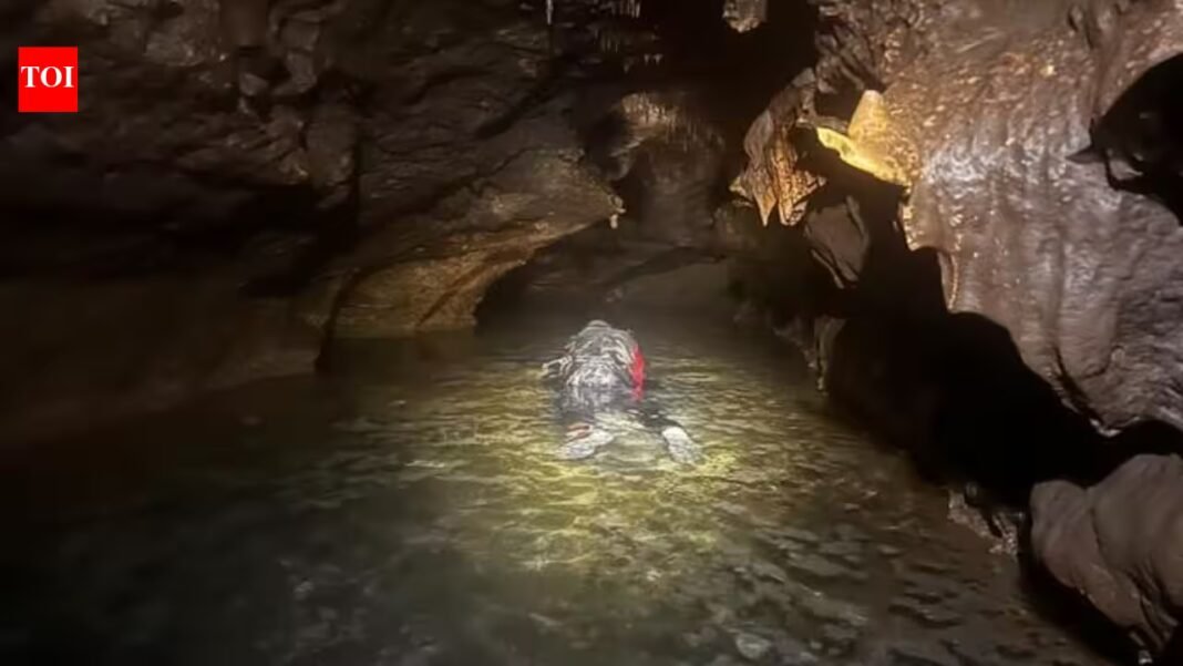 Meet John Moretti: The Texas palaeontologist who put on a wetsuit to search an underwater cave and found Ice Age animals beneath the water | Meet John Moretti: The Texas palaeontologist who put on a wetsuit to search an underwater cave and found Ice Age animals beneath the water |