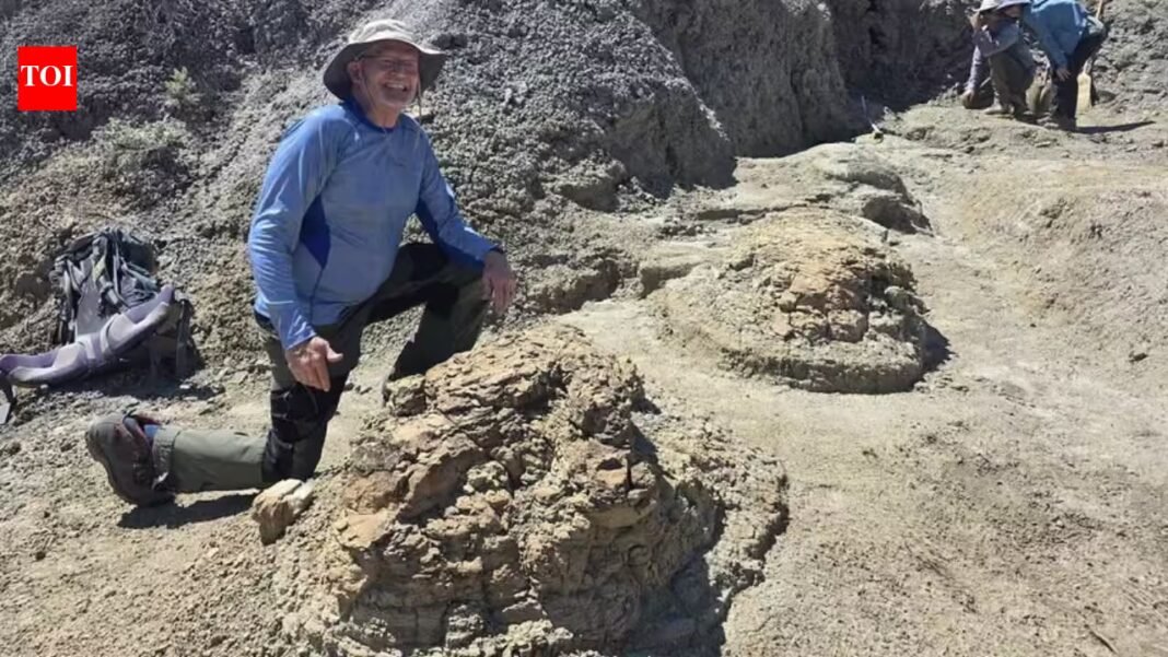High school teacher searching for fossils discovers four footprints later confirmed as the first reported T. rex trackway dating back 66.5 million years | High school teacher searching for fossils discovers four footprints later confirmed as the first reported T. rex trackway dating back 66.5 million years |