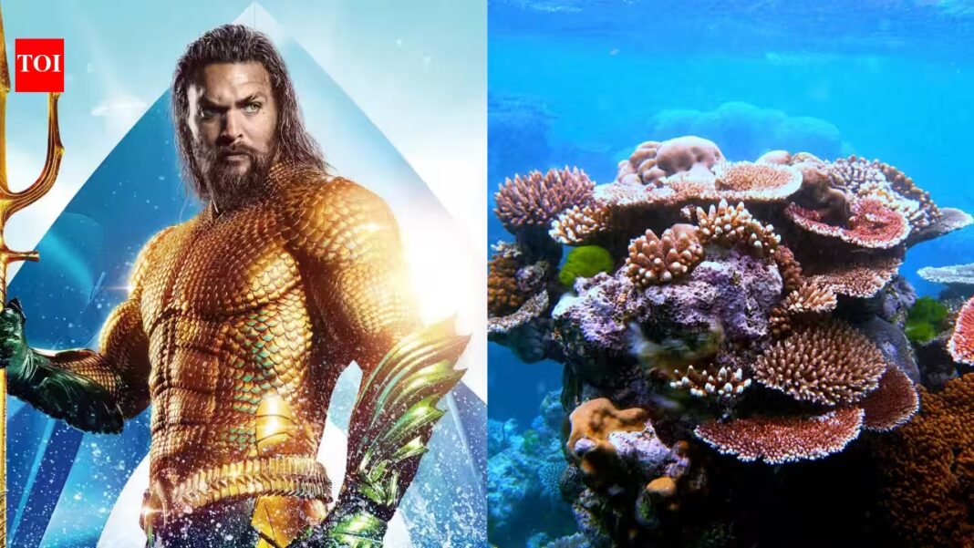 Jason Momoa raises alarm over coral reefs nearing extinction; scientists report world’s most widespread bleaching event | Jason Momoa raises alarm over coral reefs nearing extinction; scientists report world’s most widespread bleaching event |