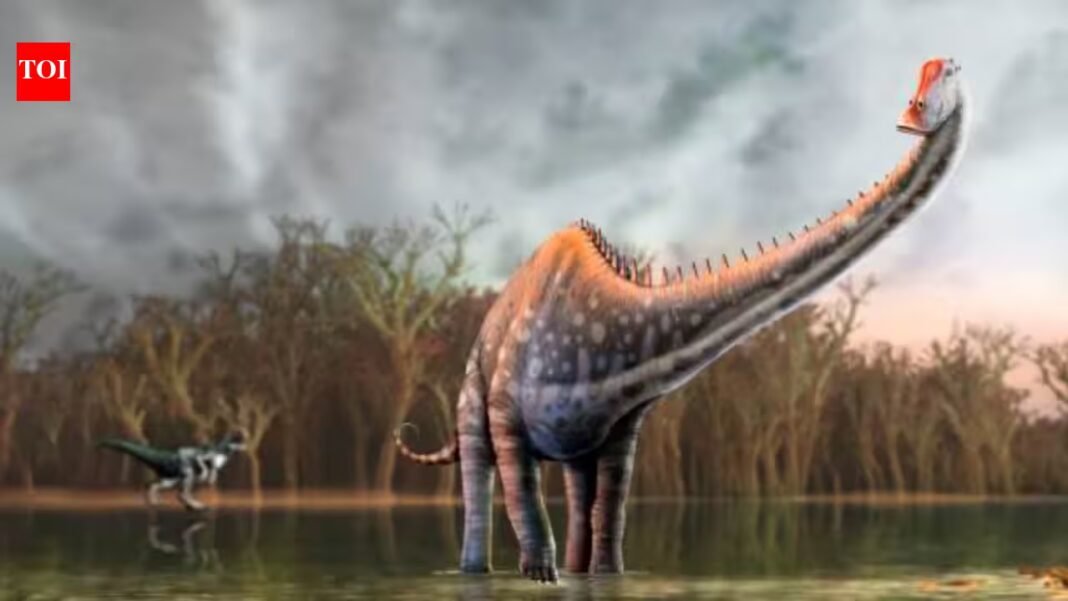 North America loses its monopoly on dinosaur fossils; fourteen tail vertebrae just turned up in Spain and experts have identified it as Diplodocus North America loses its monopoly on dinosaur fossils; fourteen tail vertebrae just turned up in Spain and experts have identified it as Diplodocus