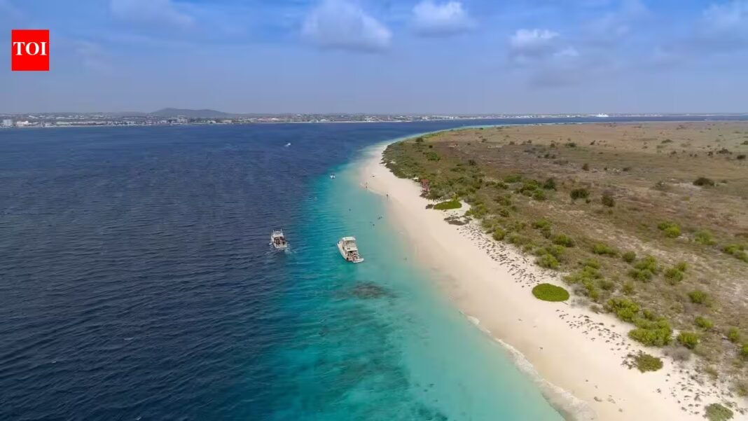 Bonaire fenced dry forest to keep goats out; 15 years later, only 22 of 60 native tree species had returned naturally | Bonaire fenced dry forest to keep goats out; 15 years later, only 22 of 60 native tree species had returned naturally |