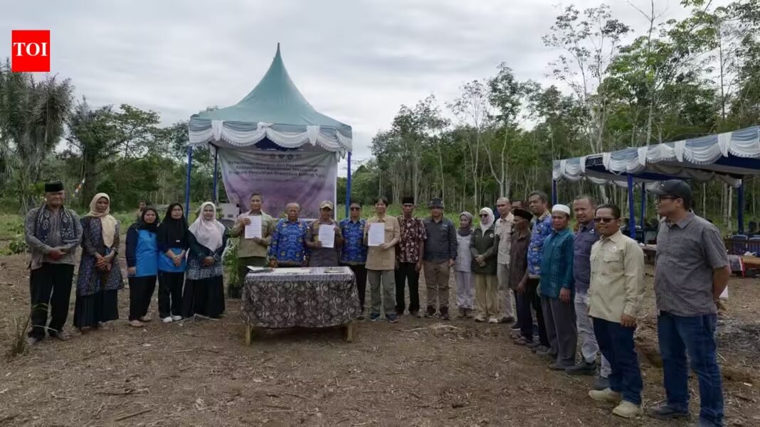 Indonesia began restoring 159 hectares damaged by floods and landslides to rebuild habitat around the last remaining Tapanuli orangutan ecosystem | Indonesia began restoring 159 hectares damaged by floods and landslides to rebuild habitat around the last remaining Tapanuli orangutan ecosystem |
