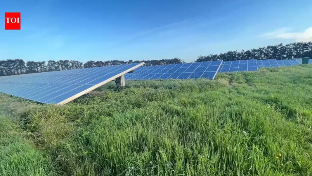 Solar farms with taller grass, wildflowers and hedgerows supported more birds; study recorded 35.1 per 4 hectares | Solar farms with taller grass, wildflowers and hedgerows supported more birds; study recorded 35.1 per 4 hectares |