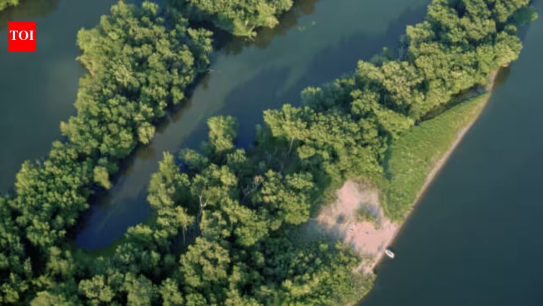 Engineers dredged 500,000 cubic yards of sand from the Mississippi River and used it to build seven islands; six years later, the $25 million McGregor Lake project has restored 270 acres of aquatic habitat and protected 22 acres of wetlands Engineers dredged 500,000 cubic yards of sand from the Mississippi River and used it to build seven islands; six years later, the $25 million McGregor Lake project has restored 270 acres of aquatic habitat and protected 22 acres of wetlands