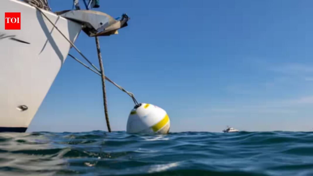 At England’s Studland Bay, replacing damaging boat anchors with eco-moorings cut scars in seagrass by 94%; researchers say the recovering meadow is also supporting a growing population of seahorses At England’s Studland Bay, replacing damaging boat anchors with eco-moorings cut scars in seagrass by 94%; researchers say the recovering meadow is also supporting a growing population of seahorses