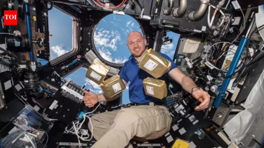 In 1984, NASA sent 12.5 million tomato seeds to space; in 1990 they had to be brought back to Earth and were planted across 40,000 schools in 40 countries In 1984, NASA sent 12.5 million tomato seeds to space; in 1990 they had to be brought back to Earth and were planted across 40,000 schools in 40 countries