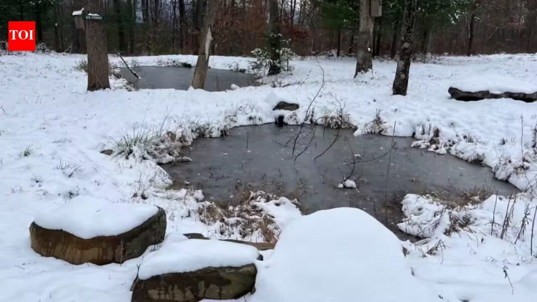 A Pennsylvania landowner bought his homestead in 1988; decades later, he protected 230 acres of forest, ponds and wetlands forever | A Pennsylvania landowner bought his homestead in 1988; decades later, he protected 230 acres of forest, ponds and wetlands forever |