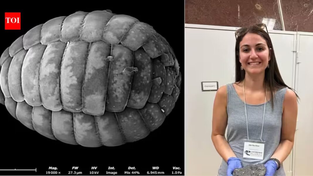 A scientist turned an $80 motel room into a makeshift lab; then she discovered two new species of microscopic amoebae | A scientist turned an $80 motel room into a makeshift lab; then she discovered two new species of microscopic amoebae |