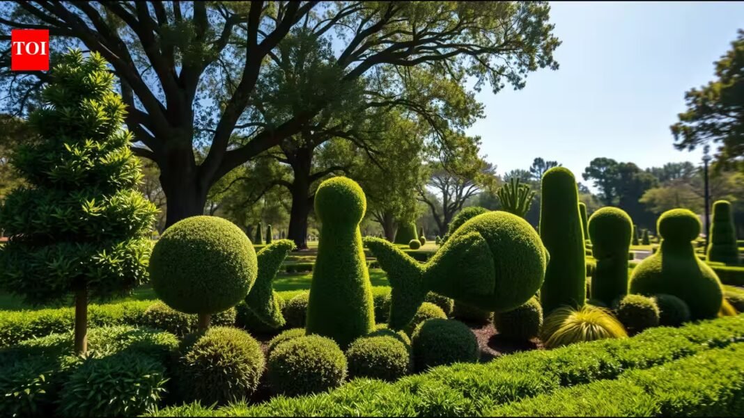 Nurseries discarded unwanted plants; Pearl Fryar rescued them and spent decades turning them into a three-acre sculpture garden | Nurseries discarded unwanted plants; Pearl Fryar rescued them and spent decades turning them into a three-acre sculpture garden |