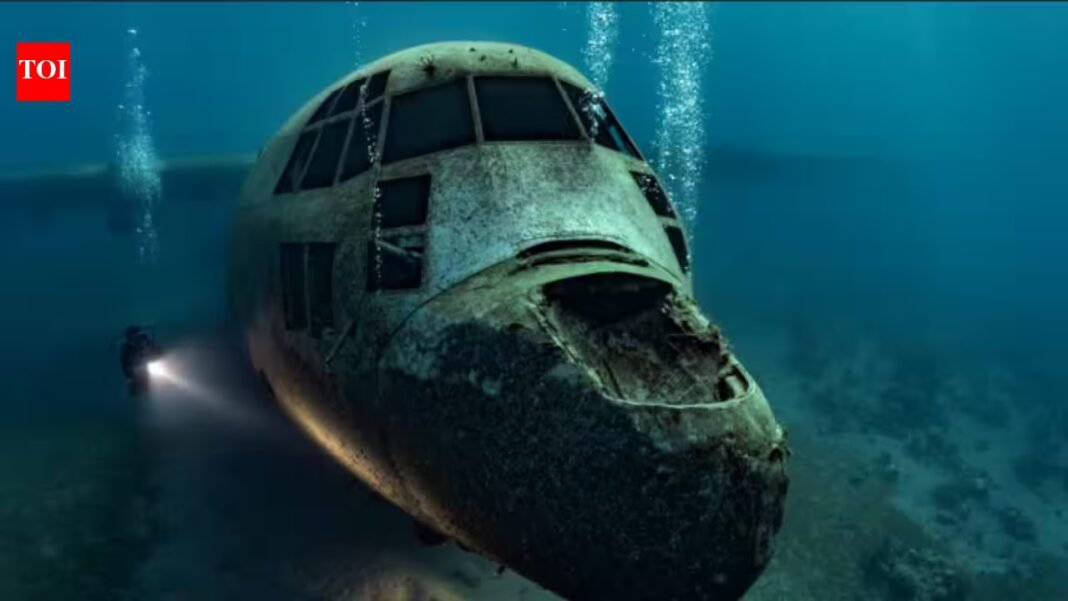 In 2017, Jordan sank a retired 30-metre C-130 Hercules off Aqaba to create an artificial reef; the aircraft now rests about 16 metres underwater and attracts coral, fish and other marine life In 2017, Jordan sank a retired 30-metre C-130 Hercules off Aqaba to create an artificial reef; the aircraft now rests about 16 metres underwater and attracts coral, fish and other marine life