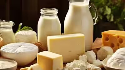 ITC to strengthen presence in fresh dairy segment ITC to strengthen presence in fresh dairy segment
