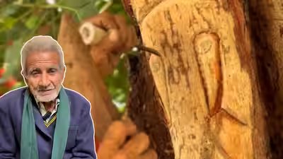 Meet Ishtiaq Ali: 85-year-old artist from Lucknow who carves Hindu gods on living trees without harming them; “When I sleep, I see Devi-Devtas…” | Meet Ishtiaq Ali: 85-year-old artist from Lucknow who carves Hindu gods on living trees without harming them; “When I sleep, I see Devi-Devtas…” |
