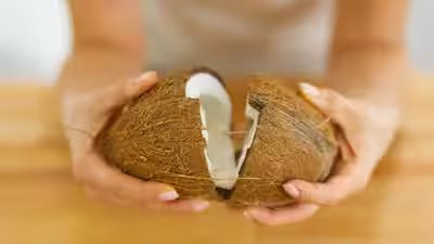 Coconut Breaking Tips: How to break a coconut properly: The simple technique that cracks the hard shell without a mess Coconut Breaking Tips: How to break a coconut properly: The simple technique that cracks the hard shell without a mess