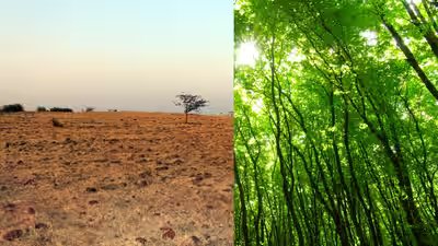 In 2007, Dr Shankar Lal Garg bought 22 acres of rocky land near Indore, today it has 40,000 trees | In 2007, Dr Shankar Lal Garg bought 22 acres of rocky land near Indore, today it has 40,000 trees |