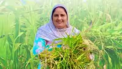 Mandeep Kaur Khaira: From half an acre to 40: How a Moga woman turned mockery into an Rs 80 lakh farming enterprise Mandeep Kaur Khaira: From half an acre to 40: How a Moga woman turned mockery into an Rs 80 lakh farming enterprise