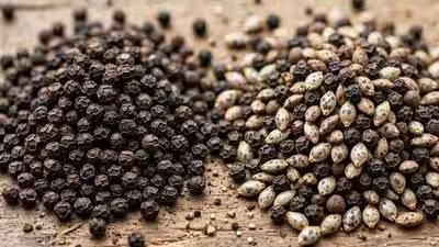 How to check if black pepper is real: 6 ways to spot adulterated pepper at home | How to check if black pepper is real: 6 ways to spot adulterated pepper at home |