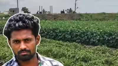 In 2017, this man got a bank job; 8 years later, he returned to his family in Andhra Pradesh after his father’s death and started farming again; he now earns Rs 5,000 daily from vegetables | In 2017, this man got a bank job; 8 years later, he returned to his family in Andhra Pradesh after his father’s death and started farming again; he now earns Rs 5,000 daily from vegetables |