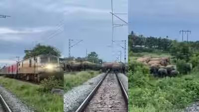 When Rajdhani Express stopped in Assam: The unusual encounter that held up India’s one of the superfast trains When Rajdhani Express stopped in Assam: The unusual encounter that held up India’s one of the superfast trains
