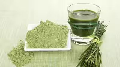 Wheatgrass Powder Benefits: Wheatgrass powder: Potential benefits, how to use it and what you should know before adding it to your diet Wheatgrass Powder Benefits: Wheatgrass powder: Potential benefits, how to use it and what you should know before adding it to your diet