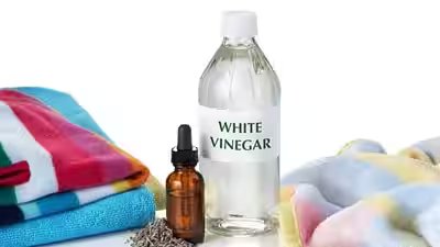 White Vinegar Laundry: White vinegar for laundry: How this simple home hack can help keep clothes fresh, clean and odour-free White Vinegar Laundry: White vinegar for laundry: How this simple home hack can help keep clothes fresh, clean and odour-free