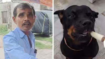 Watch: Why this Jaipur kulfi seller is making special sugar-free kulfi just for dogs | Watch: Why this Jaipur kulfi seller is making special sugar-free kulfi just for dogs |