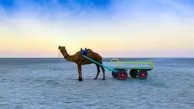 This white-sand desert in India turns silver under the moon: Why winter is the best time to experience it’s beauty This white-sand desert in India turns silver under the moon: Why winter is the best time to experience it’s beauty