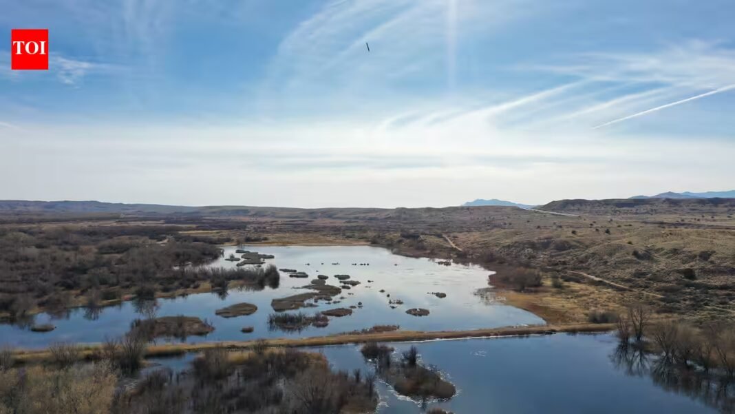 New Mexico researchers use drone images to train AI to count ducks, geese and cranes; early tests show 95% detection accuracy | New Mexico researchers use drone images to train AI to count ducks, geese and cranes; early tests show 95% detection accuracy |