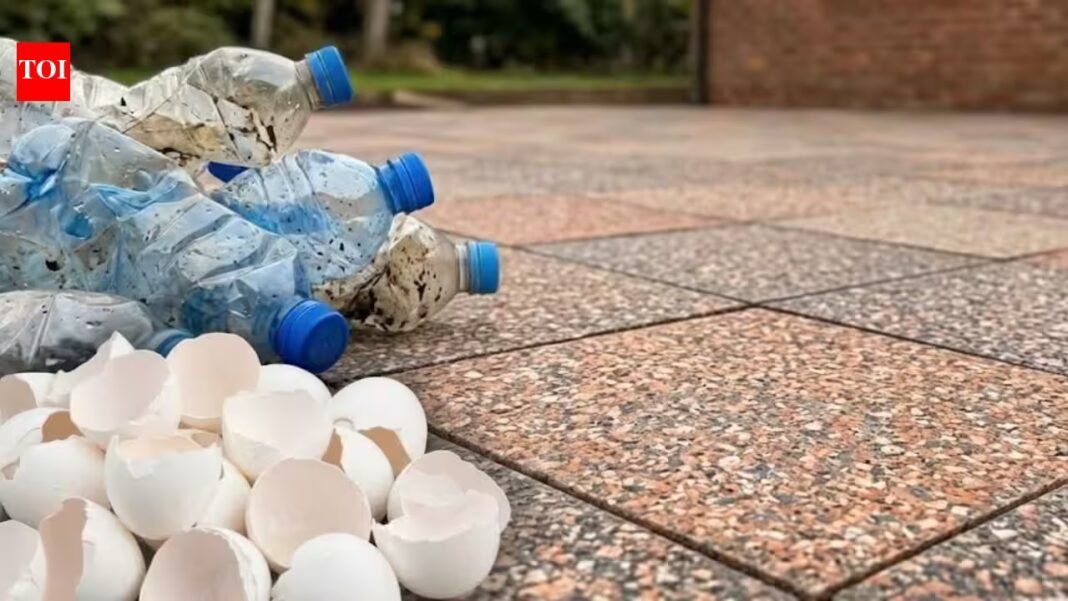 Scientists melted plastic bottles with eggshell waste to make paving tiles; the unusual mix was tested for strength | Scientists melted plastic bottles with eggshell waste to make paving tiles; the unusual mix was tested for strength |