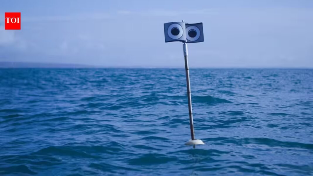Scientists put a floating ‘scarecrow’ beside fishing nets; the device cut seabird bycatch by 59%, while a kite cut it by 71% | Scientists put a floating ‘scarecrow’ beside fishing nets; the device cut seabird bycatch by 59%, while a kite cut it by 71% |