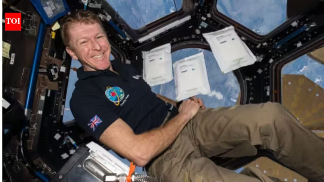In 2015, 2kg of rocket seeds went to the space station; after their return, 600,000 UK children helped test them, and researchers found they grew more slowly but remained viable In 2015, 2kg of rocket seeds went to the space station; after their return, 600,000 UK children helped test them, and researchers found they grew more slowly but remained viable