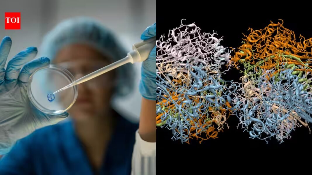 Scientists resurrected 160-million-year-old proteins from extinct mammals; some were stronger against drug-resistant bacteria than modern human versions, raising new hopes for antibiotic research Scientists resurrected 160-million-year-old proteins from extinct mammals; some were stronger against drug-resistant bacteria than modern human versions, raising new hopes for antibiotic research
