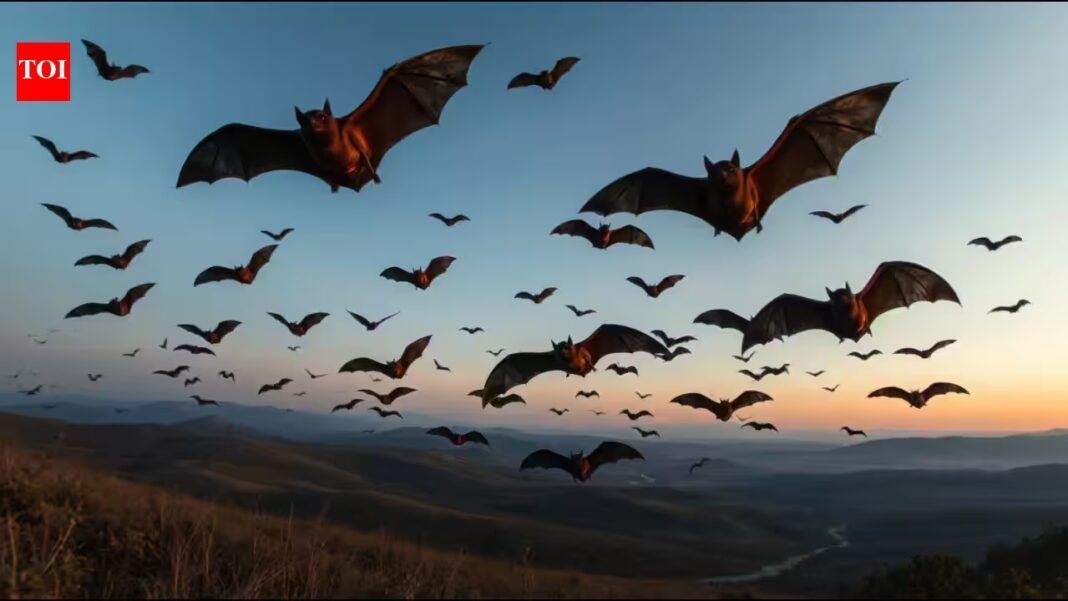 Scientists analysed 103 bat genomes and 44 fossils; their findings point to Europe as the likely birthplace of bats, challenging decades of evolutionary theories | Scientists analysed 103 bat genomes and 44 fossils; their findings point to Europe as the likely birthplace of bats, challenging decades of evolutionary theories |