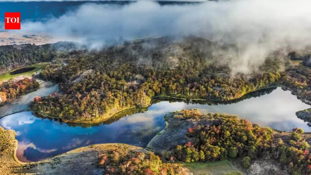 In 2004, Kris Tompkins’ conservation organisation acquired a 174,500-acre Chilean ranch and began restoring its grasslands and wildlife; in 2018 the ranch became part of a national park within a wider conservation effort that has helped protect nearly 15 million acres In 2004, Kris Tompkins’ conservation organisation acquired a 174,500-acre Chilean ranch and began restoring its grasslands and wildlife; in 2018 the ranch became part of a national park within a wider conservation effort that has helped protect nearly 15 million acres