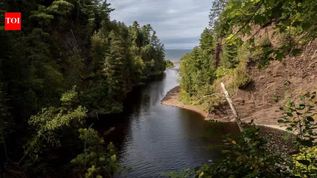 US wildlife partners spent years protecting more than 1,700 acres along Wisconsin’s Lake Superior shore; the project has restored wetlands, treated invasive plants and reconnected cold-water habitat US wildlife partners spent years protecting more than 1,700 acres along Wisconsin’s Lake Superior shore; the project has restored wetlands, treated invasive plants and reconnected cold-water habitat