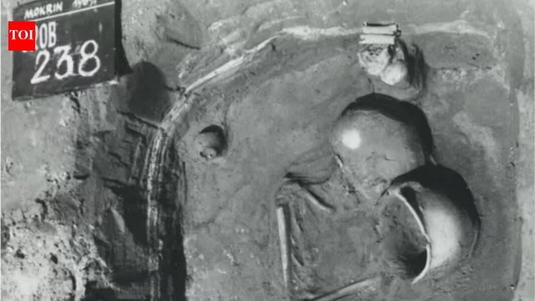 Researchers studying 77 children from Bronze Age cemeteries in Serbia found that burial positions often differed by biological sex, suggesting gender-linked funerary customs were observed during childhood about 4,000 years ago Researchers studying 77 children from Bronze Age cemeteries in Serbia found that burial positions often differed by biological sex, suggesting gender-linked funerary customs were observed during childhood about 4,000 years ago