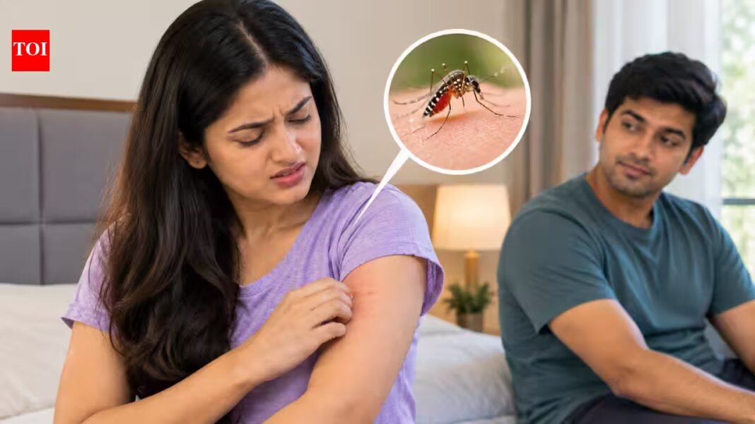 Why mosquitoes seem to bite you more than everyone else: What blood type, body odour and science reveal Why mosquitoes seem to bite you more than everyone else: What blood type, body odour and science reveal