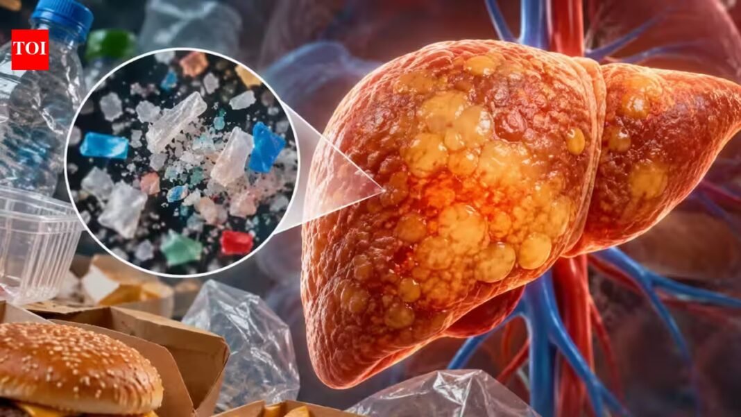Researchers found that polyethylene microplastics worsened signs of fatty liver, especially when combined with an unhealthy diet, raising questions about a plastic used in everyday packaging Researchers found that polyethylene microplastics worsened signs of fatty liver, especially when combined with an unhealthy diet, raising questions about a plastic used in everyday packaging