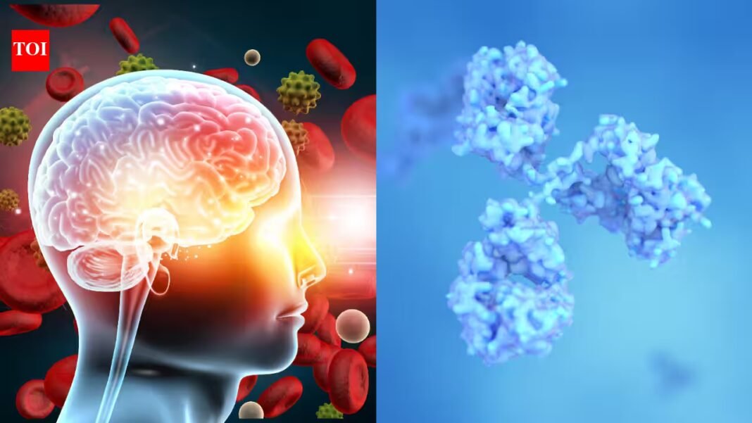 Northwestern scientists studying proteins linked to Alzheimer’s found a single spot that helps harmful tau clumps spread; blocking that hotspot with a chemical tag stopped the clumps from growing in lab tests Northwestern scientists studying proteins linked to Alzheimer’s found a single spot that helps harmful tau clumps spread; blocking that hotspot with a chemical tag stopped the clumps from growing in lab tests