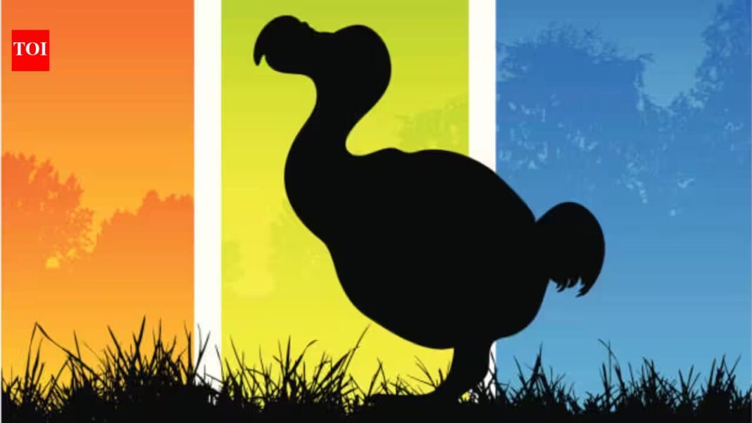 US biotech firm completes 95% of dodo’s genome and identifies gene-editing targets; could the extinct bird come alive again through its closest living relative, the Nicobar pigeon? US biotech firm completes 95% of dodo’s genome and identifies gene-editing targets; could the extinct bird come alive again through its closest living relative, the Nicobar pigeon?