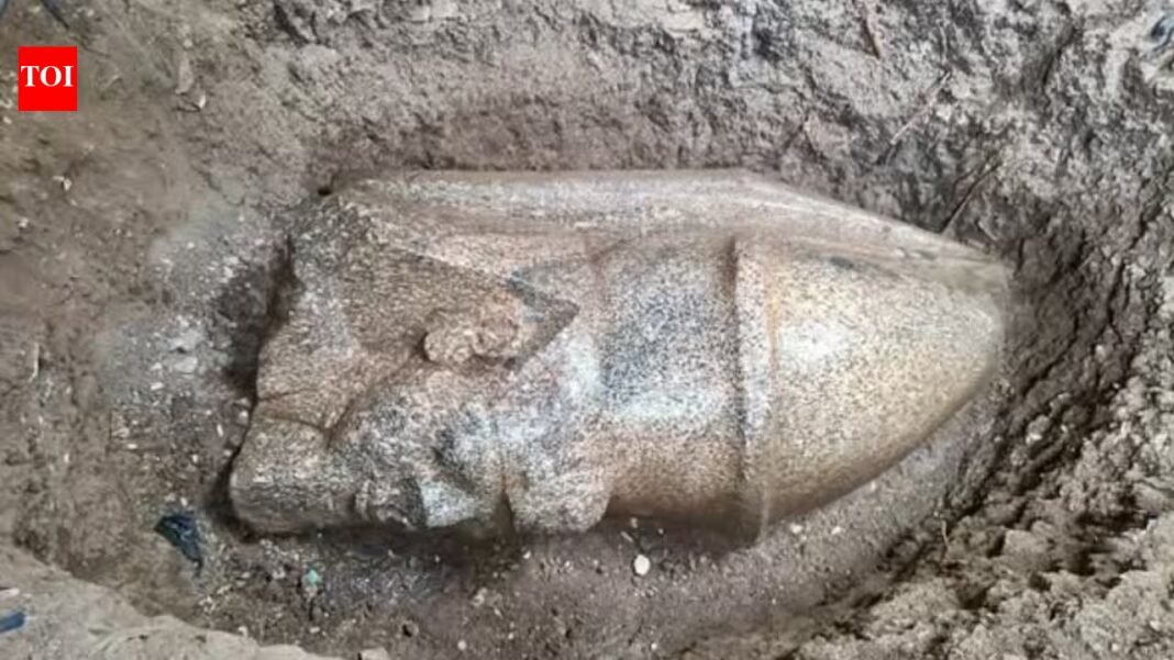 Egyptian farmer tilling the land discovered 28-foot statue of biblical pharaoh who enslaved Israelis, allegedly challenged Moses in Bible Egyptian farmer tilling the land discovered 28-foot statue of biblical pharaoh who enslaved Israelis, allegedly challenged Moses in Bible