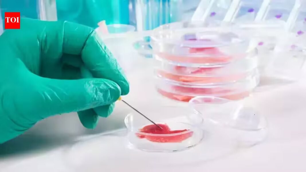 Scientists turn blood-cell precursors from an 80-year-old donor into neural stem cells with epigenetic age below 20; 100-day process reveals cellular rejuvenation could aid aging and Alzheimer’s research Scientists turn blood-cell precursors from an 80-year-old donor into neural stem cells with epigenetic age below 20; 100-day process reveals cellular rejuvenation could aid aging and Alzheimer’s research