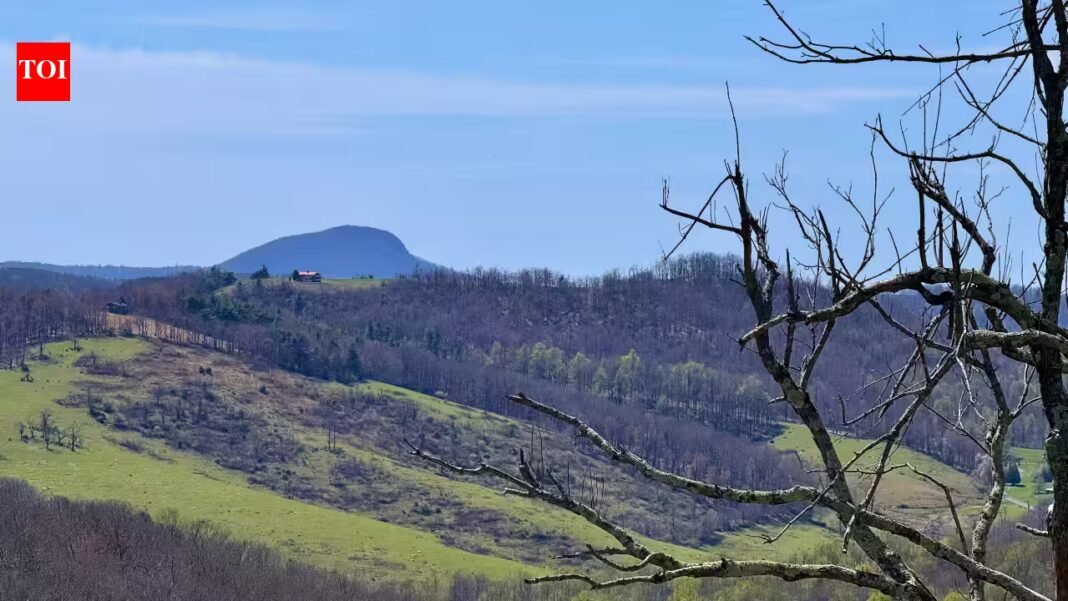 Virginia has acquired 2,211 acres around Buffalo Mountain to create a new conservation area, protecting nearly 14 miles of native trout streams and expanding a landscape already drawing 15,000 visitors a year Virginia has acquired 2,211 acres around Buffalo Mountain to create a new conservation area, protecting nearly 14 miles of native trout streams and expanding a landscape already drawing 15,000 visitors a year
