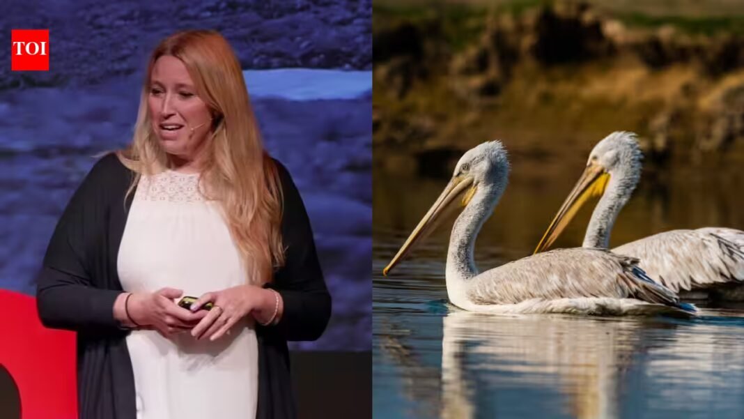 Meet Sacha Dench, the ‘Human Swan’ who helped secure a historic ban on lead ammunition in Britain and won the prestigious 2026 RSPB Medal; the move could protect hundreds of thousands of birds from lead poisoning Meet Sacha Dench, the ‘Human Swan’ who helped secure a historic ban on lead ammunition in Britain and won the prestigious 2026 RSPB Medal; the move could protect hundreds of thousands of birds from lead poisoning